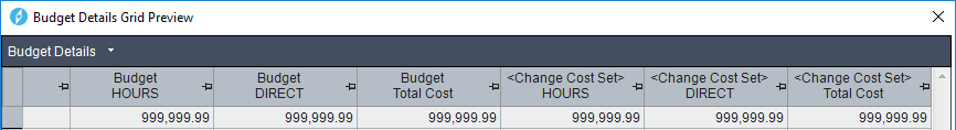 Details Grid Preview Dialog Box